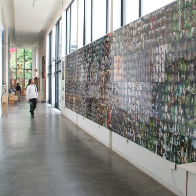 Susan Shaw - Lourdes