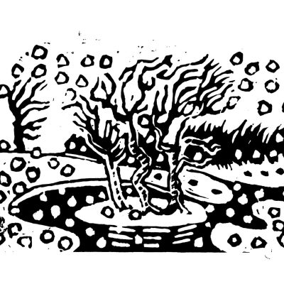 Printmaking - Susan Shaw